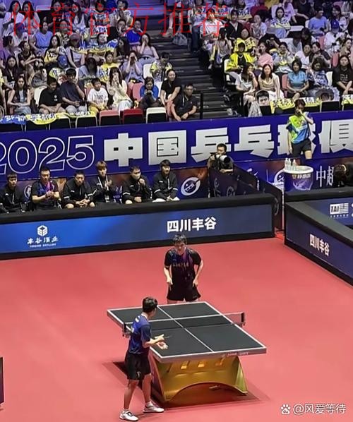 《熊猫说球》第十三集：比赛结果